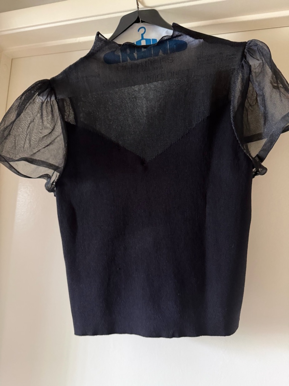 Zara Black Sheer Yoke Puff Sleeve Top